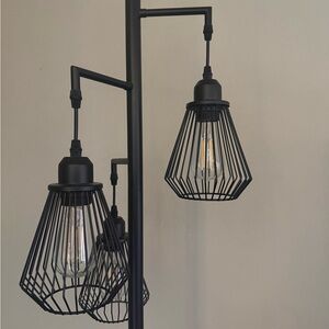 Modern Black Cage Pendant Floor Lamp